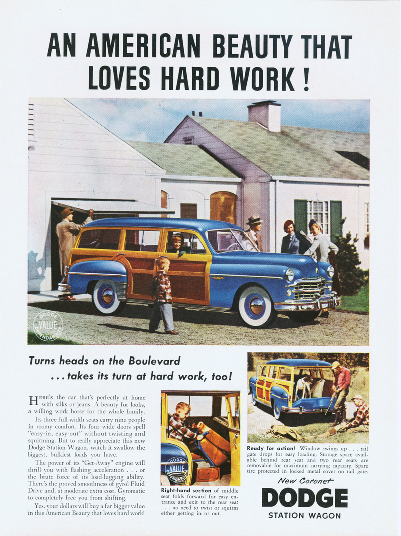 Illustration for article titled An American Beauty That Loves Hard Work
